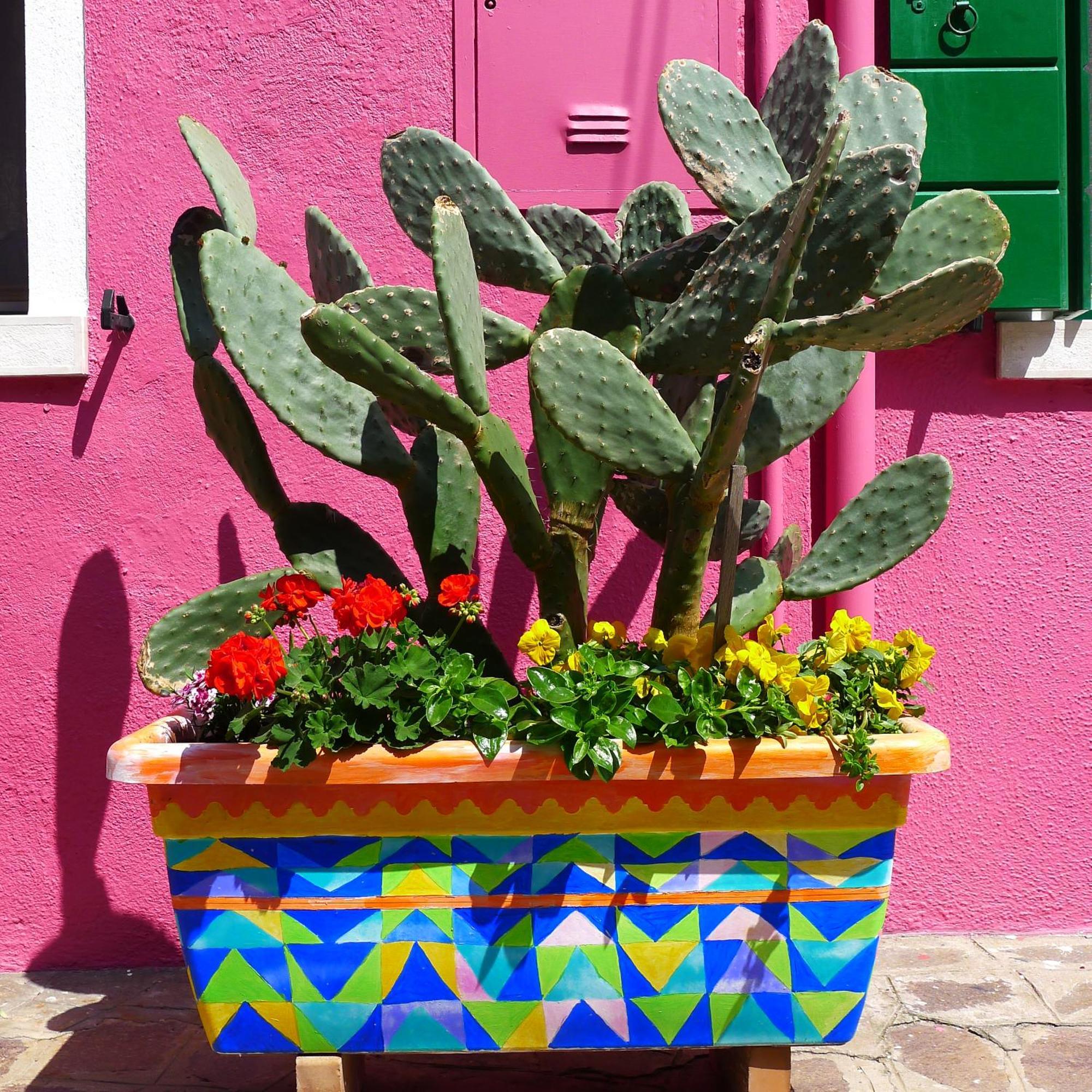 Night Galleria Holiday Home - Bed & Art In Burano - The Pink House ภายนอก รูปภาพ